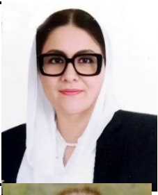 Hussan Bano